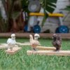 Schleich Farm World 42574 Kurze przyjaciółki Kry do zagrody